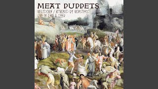 Video thumbnail of "Meat Puppets - Violet Eyes (Remastered)"