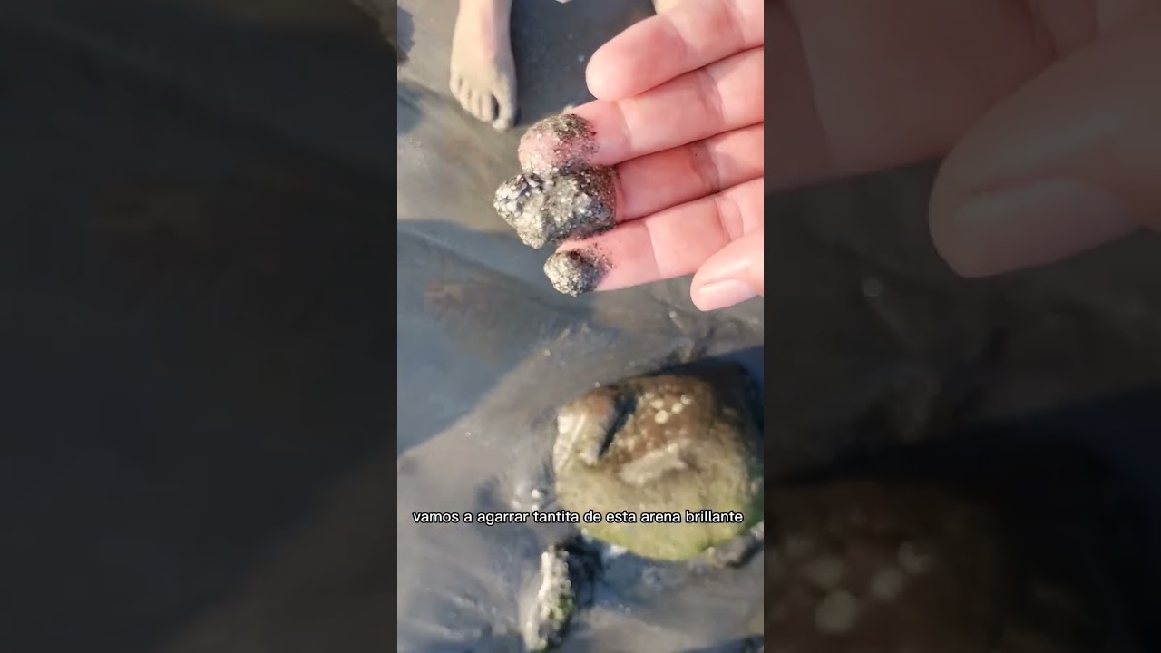 Calcopirita en la playa