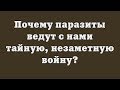 Почему паразиты ведут с нами тайную, незаметную войну?