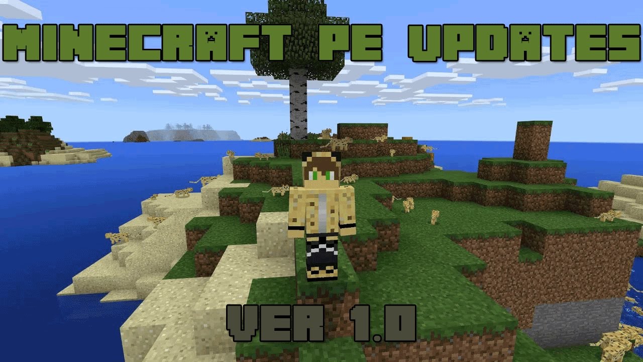 minecraft 1.1 download