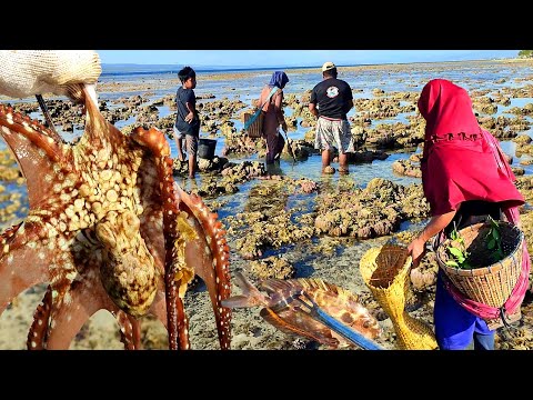 Bersama Warga mencari ikan, kerang juga banyak Gurita yang bersarang dilubang batu