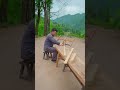 Why Is This Desk Curved? Ancient Chinese Ergonomic Table Designed for Comfortable Writing