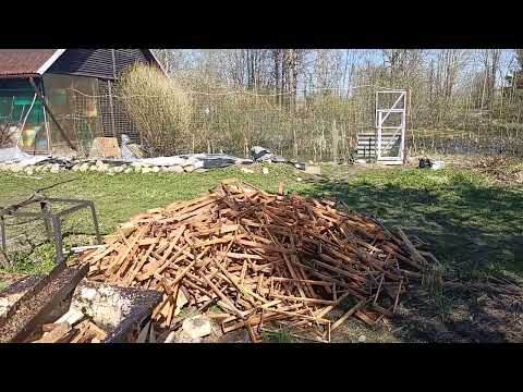 Видео: Люська на пасеке