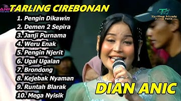 PENGEN DIKAWIN ‼️ LIVE DIAN ANIC FULL ALBUM TARLING MUSIK ANICA NADA 2025