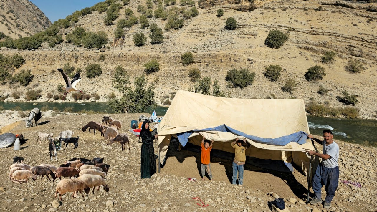 🏕️ Кочевая жизнь в Иране | Установка традиционной чёрной палатки⛺️ и золотые секреты кочевников