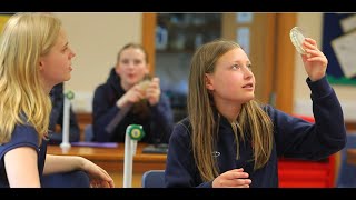 Introduction to Berkhamsted Girls 2023