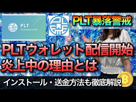   パレットウォレット正式リリース にも関わらず炎上中 開設 送金方法教えます