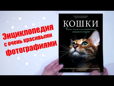 Кошки. Самая полная иллюстрированная энциклопедия, всё самое важное о воспитании и уходе за кошкой