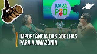 Entenda qual a importância das abelhas para a Amazônia
