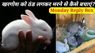 खरगोश को ठंड लगकर मरने से कैसे बचाएं Monday Reply Box In Hindi/ Sunday Comment Box In Hindi