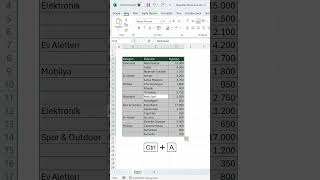 Excel’de Boş Hücreleri Doldurma