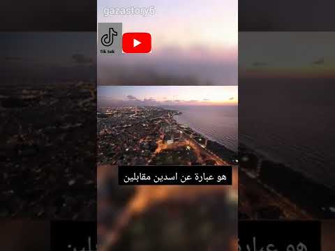 معلومات عن قصر الباشا 