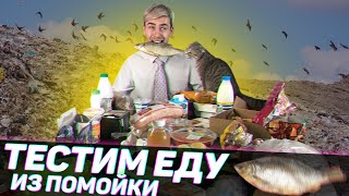 ЕДА из ПОМОЙКИ 9 | Ем всё подряд из мусорки | Опасная дегустация #помойкакормит