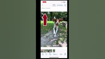 Continuous Shooting Mode on iPhone! Never Miss The Shot!