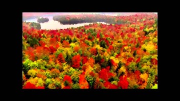 سورة الفرقان 63 - 77 للقارئ سعود الفايز.wmv