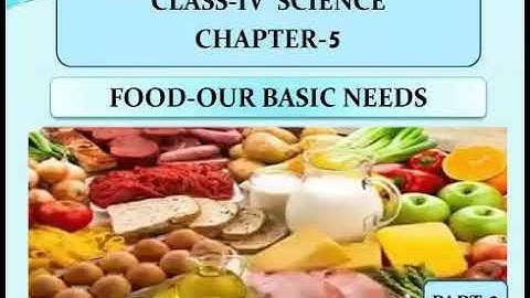 CLASS IV SCIENCE Chapter 5 FOOD OUR BASIC NEED  part 2