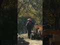 Tree Care
