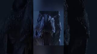 Beccate sto Grrrrrr 🤣🤣🤣🤣 #dameungrr