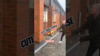 Cute Small Horse 🐎😱 ~working art skillwood / hand crafts #shorts #cute #horse #viralvideo