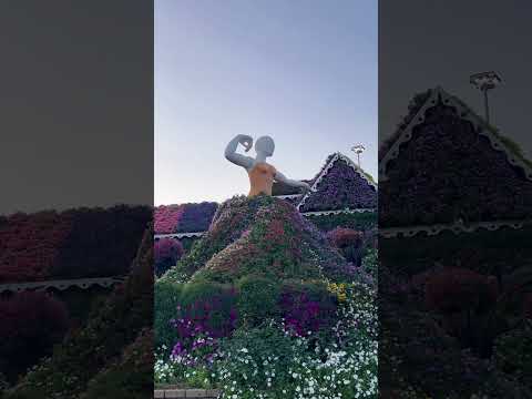 Miracle garden dubai #shortsvideo #travel #happyholidays #dubai