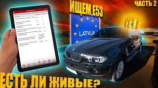 7000 Евро за BMW X5 E53 в 2022? Ищем живой E53 по Латвии