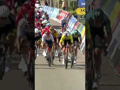 Бейне: Воут Ван Аэрт уақыт сынағындағы апатқа байланысты Тур де Франсқа қарсы сот ісін қарастырады