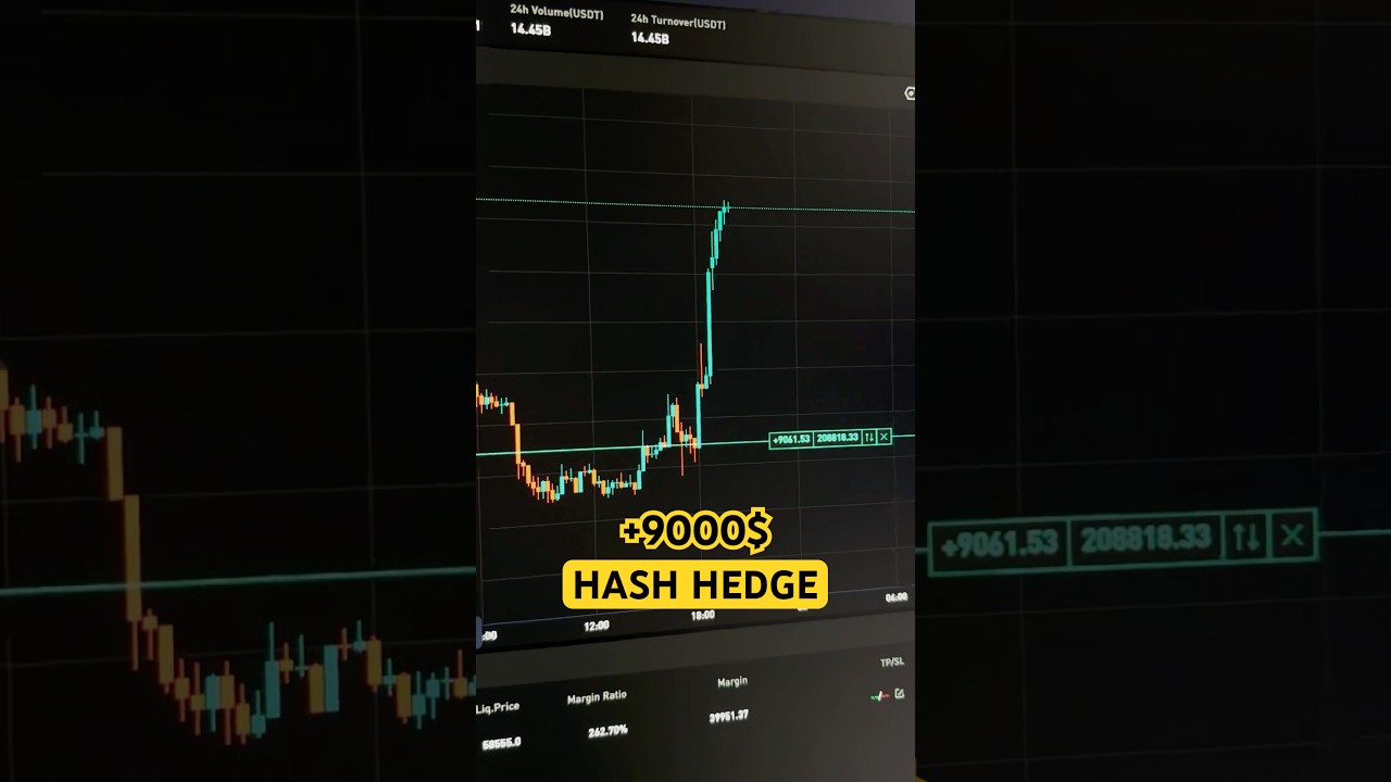 Торгую на проп счетах Hash Hedge