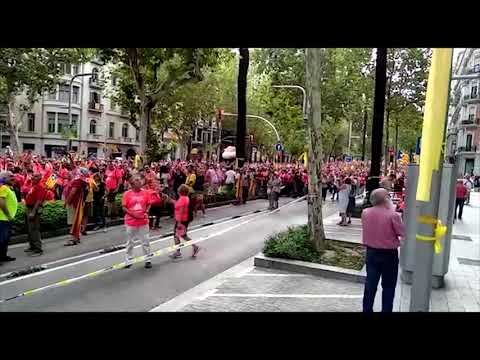 Suena el himno de España durante la Diada