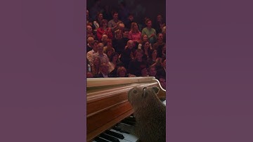 Beautiful Piano Player Gets Amazing Ovation #capybaramemes #capybara