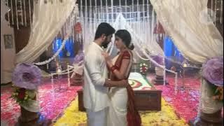 First Day  Husband Wife Romance💕 New Love Status 💕 Romantic Wastap Status Hindi 💕💞