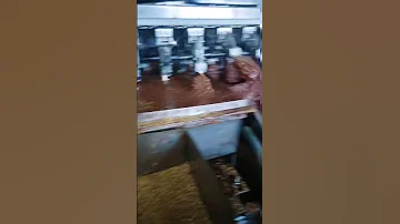 Как делают мороженое 