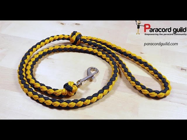 Lazy man's paracord dog leash 