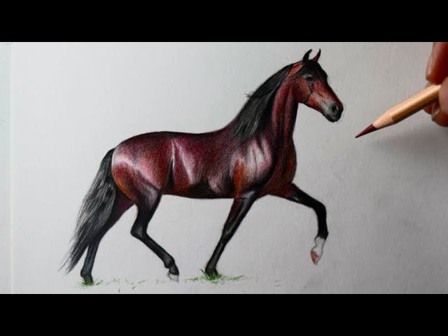 Aprenda a desenhar um cavalo em lápis colorido