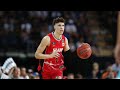 Lamelo ball  full highlights 2020 montage