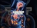 The Science Of Sleep, How Your Body Heals While You Sleep #sleep#brain#sleepscience#psychology