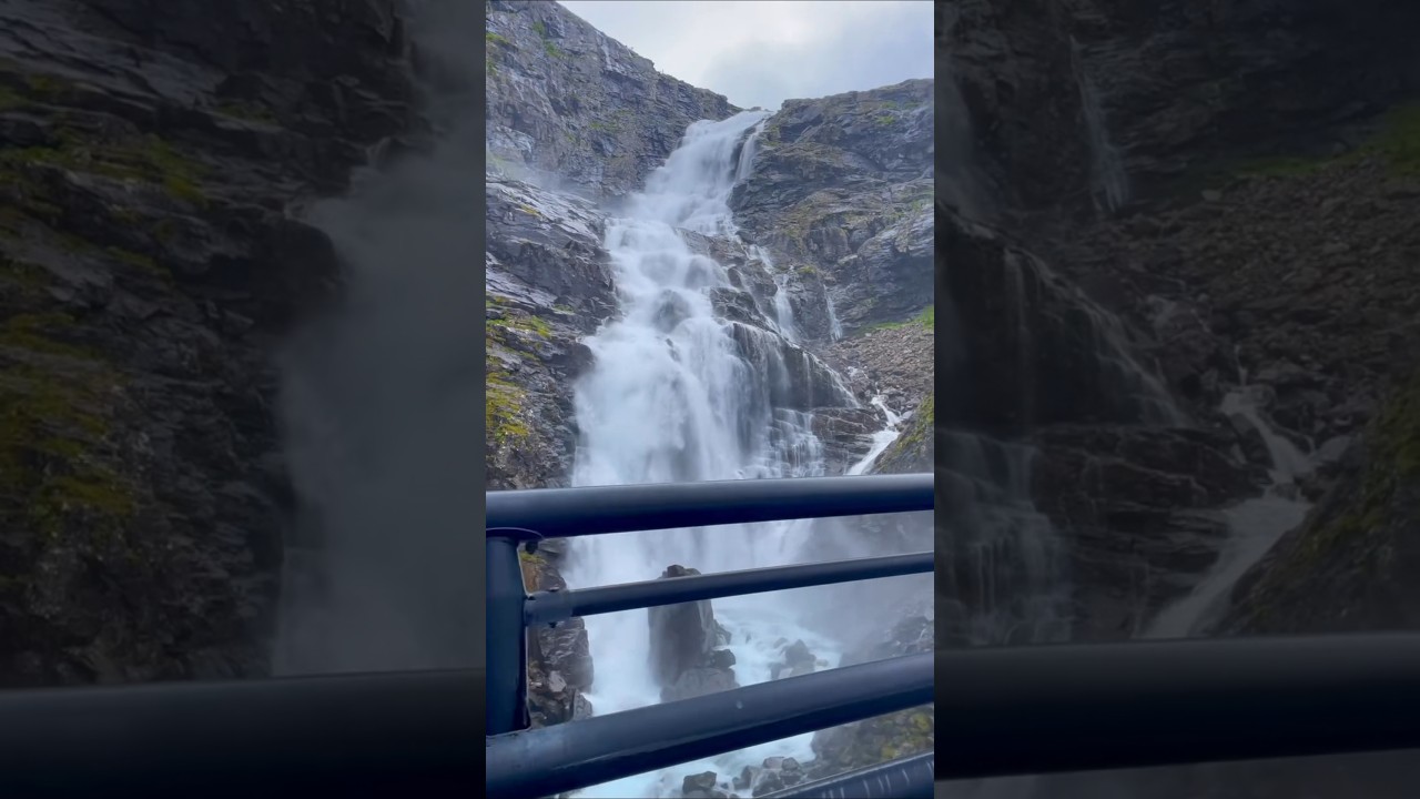 “Trees, Wind & Absolute Peace”