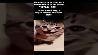 ВЫПРЫГНУЛ С ТЕЛЕФОНА 🤬 #meme , #тикток, #тиктоксрёт, #подборкатикток, #пов