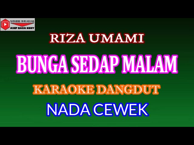 KARAOKE DANGDUT BUNGA SEDAP MALAM - RIZA UMAMI (COVER) NADA CEWEK class=