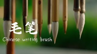  Chinese Writing Brush