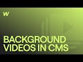 🔴 LIVE - Background Videos for Webflow CMS Items