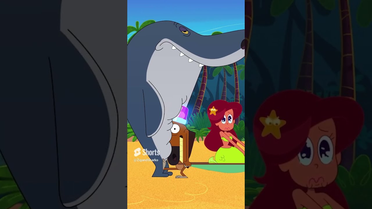 The Disaster Shorts Zigandsharko Zig Sharko Cartoon For Kids