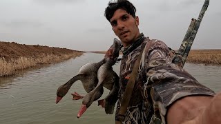 اجمل صيد الوز في العراق شاهد متعت الصيد لاتنسى الاشتراك بلقناة