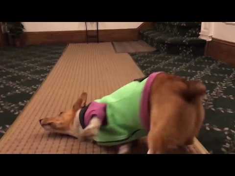 BreakDance