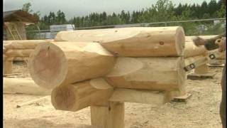 Building log cabin: Choice Wood