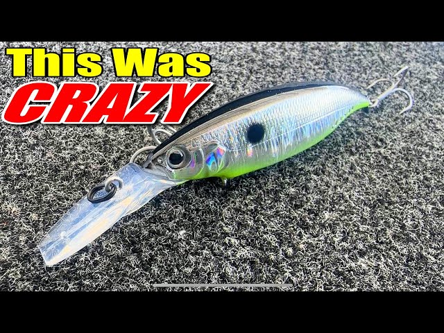 brown trout ice fishing lures Ice Fishing Techniques for Bulging Brown Trout