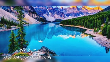 سورة الهمزة بصوت القارئ صهيب بلال