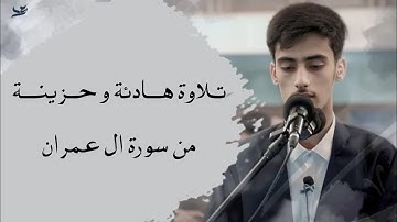 كلما دخل عليها زكريا المحراب وجد عندها رزقا | تلاوة هادئة وحزينة جدا تريح الاعصاب بصوت عبدالله معصوم