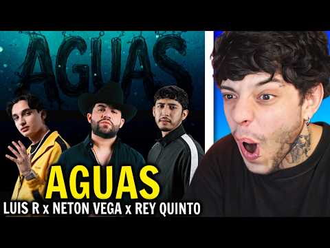 CHUNCA REACCIONA a Luis R Conriquez, Neton Vega, Rey Quinto - Aguas