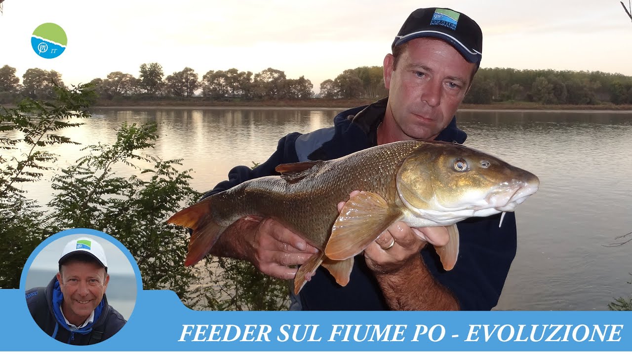 FEEDER SUL FIUME PO - Evoluzione De Pascalis.