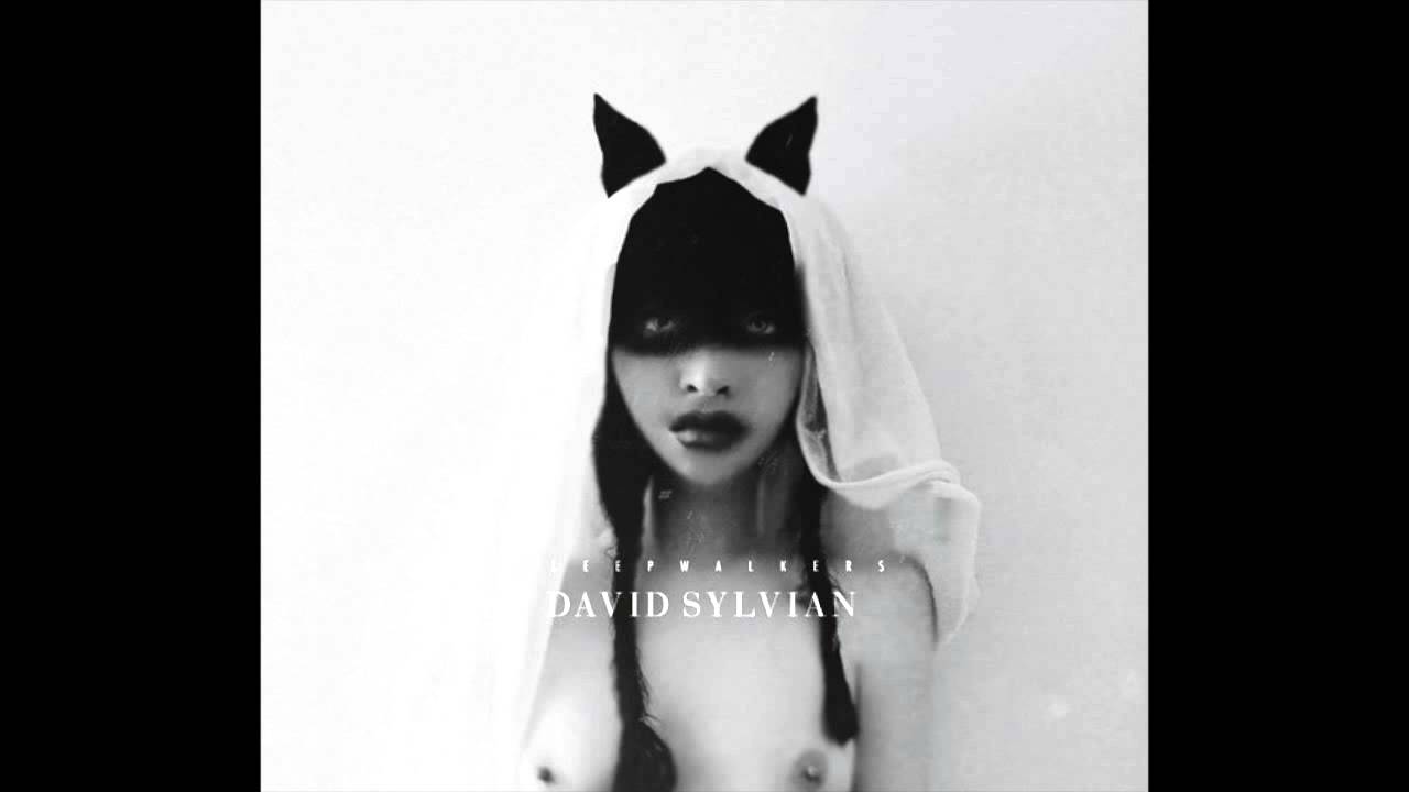 Watch David Sylvian × Takuma Watanabe 'The World Is Every Thing' on YouTube Watch David Sylvian × Takuma Watanabe 'The World Is Every Thing' on YouTube